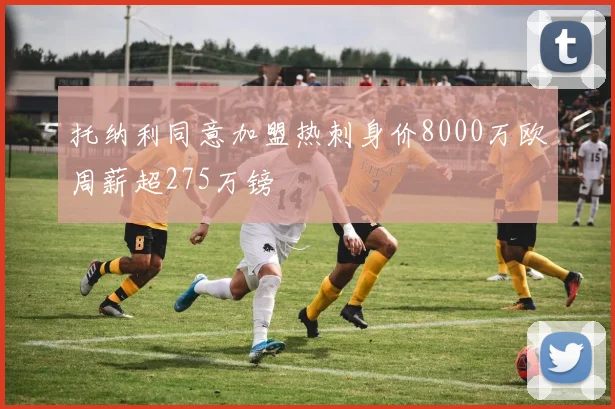 托纳利同意加盟热刺身价8000万欧周薪超275万镑