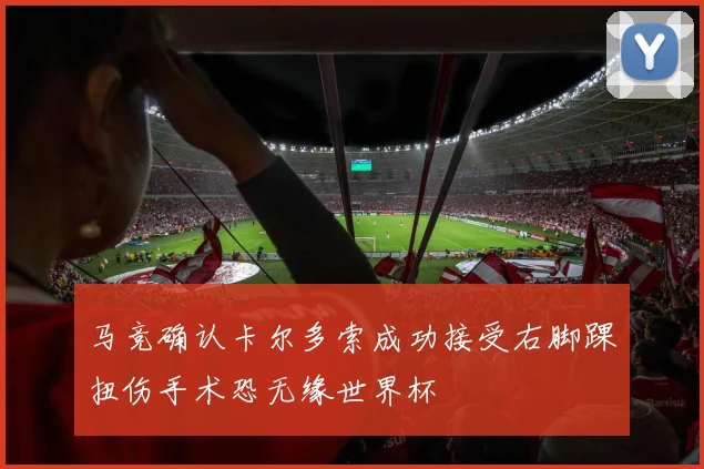 马竞确认卡尔多索成功接受右脚踝扭伤手术恐无缘世界杯