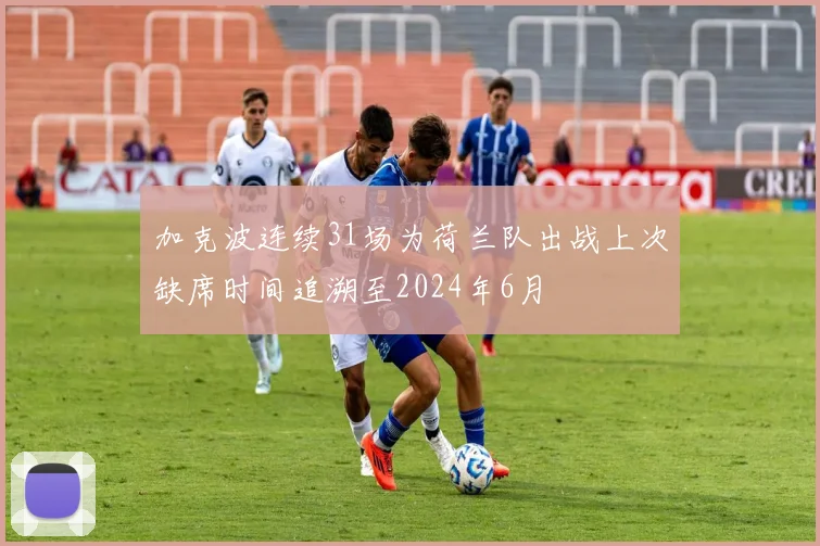 加克波连续31场为荷兰队出战上次缺席时间追溯至2024年6月