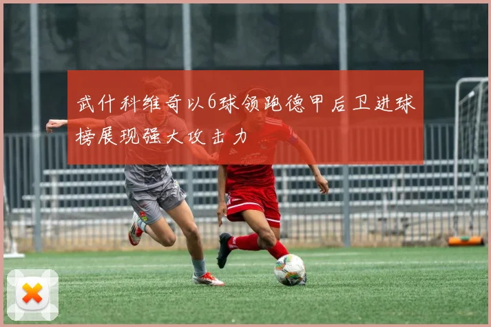 武什科维奇以6球领跑德甲后卫进球榜展现强大攻击力